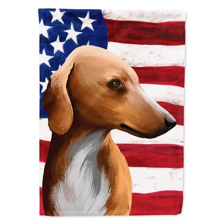 Carolines Treasures Azawakh Hound American Canvas House Flag - 28 x 0.01 x 40 in. CK6416CHF
